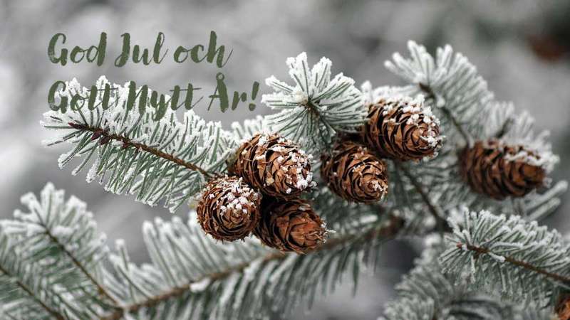 Nyhetsbrev - dec 2025