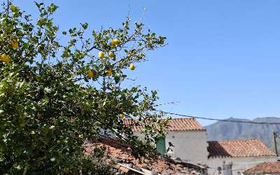 Bergsvandring 13 mars